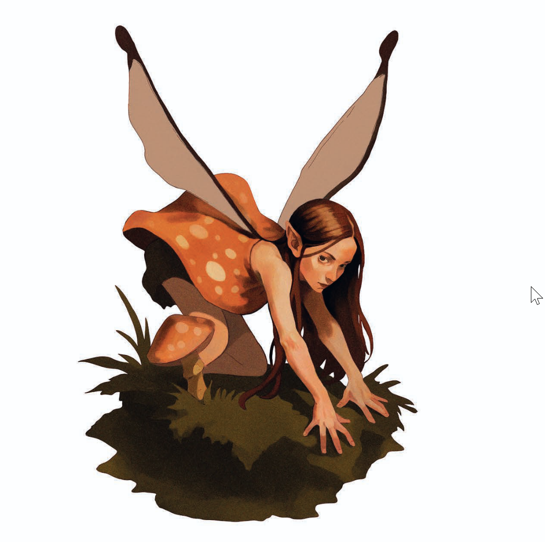 Fairy – Magical Creatures Collection